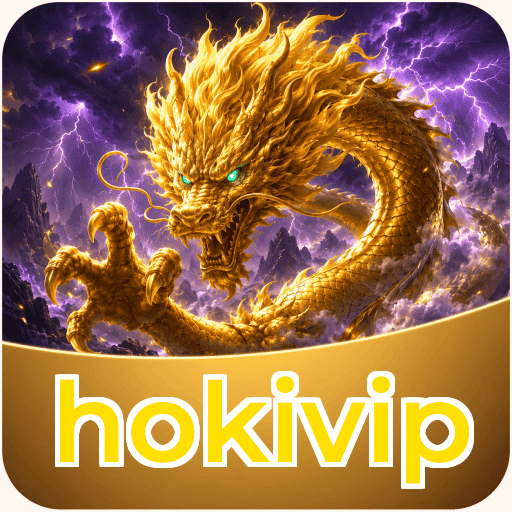 hokivip Technical Info